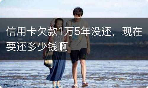 信用卡欠款1万5年没还，现在要还多少钱啊