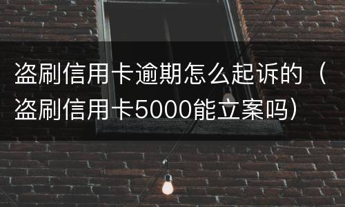 盗刷信用卡逾期怎么起诉的（盗刷信用卡5000能立案吗）