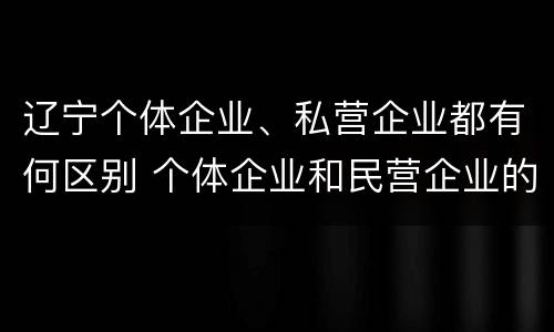 辽宁个体企业、私营企业都有何区别 个体企业和民营企业的区别