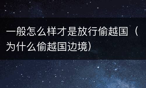 一般怎么样才是放行偷越国（为什么偷越国边境）