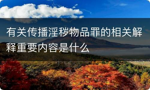 有关传播淫秽物品罪的相关解释重要内容是什么