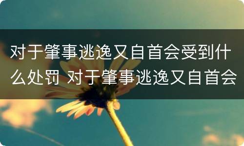 对于肇事逃逸又自首会受到什么处罚 对于肇事逃逸又自首会受到什么处罚呢