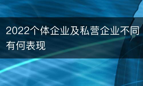 2022个体企业及私营企业不同有何表现