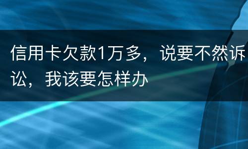 信用卡欠款1万多，说要不然诉讼，我该要怎样办