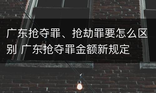 广东抢夺罪、抢劫罪要怎么区别 广东抢夺罪金额新规定