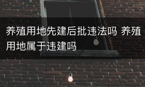 养殖用地先建后批违法吗 养殖用地属于违建吗