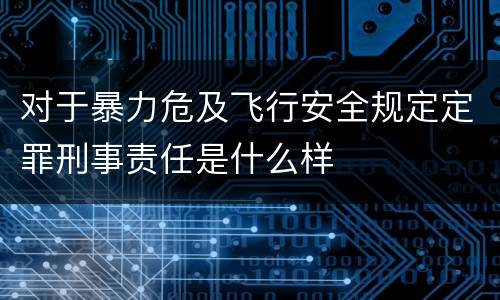 对于暴力危及飞行安全规定定罪刑事责任是什么样