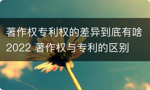 著作权专利权的差异到底有啥2022 著作权与专利的区别