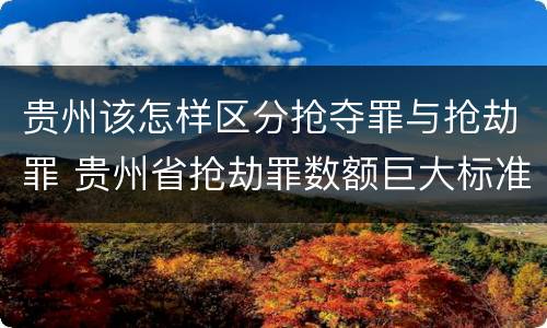贵州该怎样区分抢夺罪与抢劫罪 贵州省抢劫罪数额巨大标准