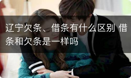 辽宁欠条、借条有什么区别 借条和欠条是一样吗