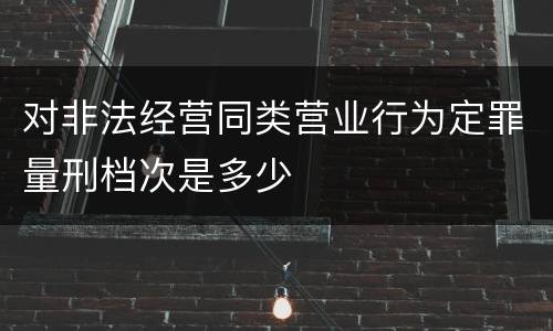 对非法经营同类营业行为定罪量刑档次是多少
