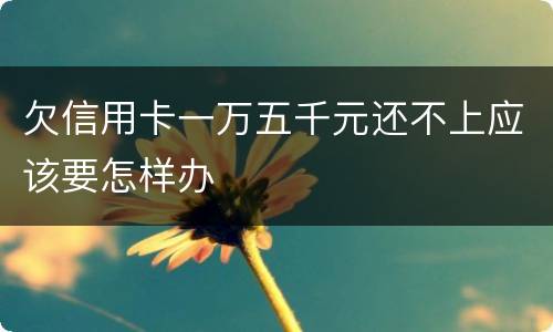 欠信用卡一万五千元还不上应该要怎样办