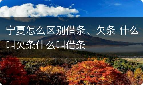 宁夏怎么区别借条、欠条 什么叫欠条什么叫借条