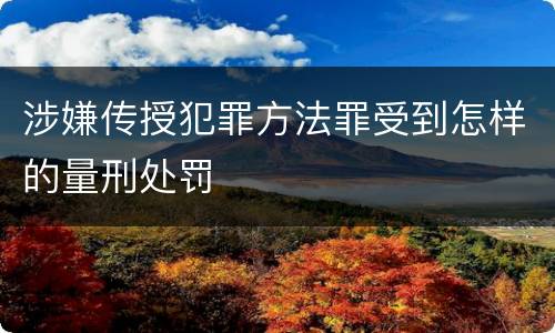 涉嫌传授犯罪方法罪受到怎样的量刑处罚