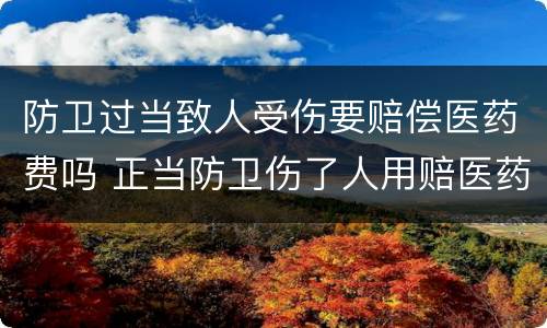 防卫过当致人受伤要赔偿医药费吗 正当防卫伤了人用赔医药费吗