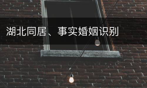 湖北同居、事实婚姻识别