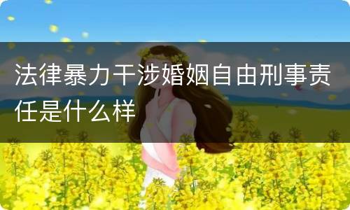 法律暴力干涉婚姻自由刑事责任是什么样