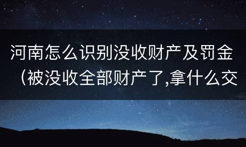 河南怎么识别没收财产及罚金（被没收全部财产了,拿什么交罚金）