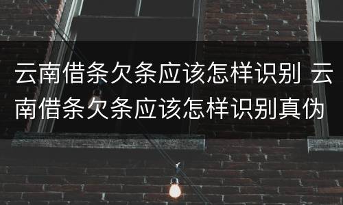 云南借条欠条应该怎样识别 云南借条欠条应该怎样识别真伪