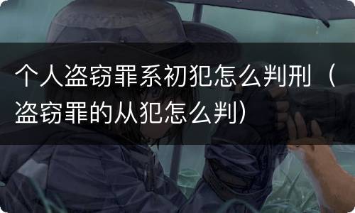 个人盗窃罪系初犯怎么判刑（盗窃罪的从犯怎么判）