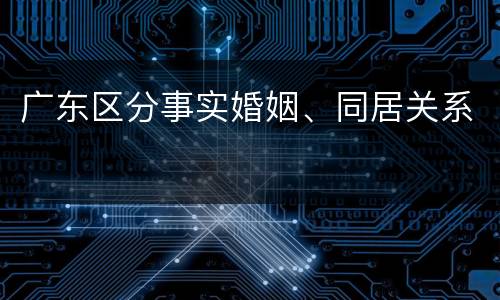 广东区分事实婚姻、同居关系