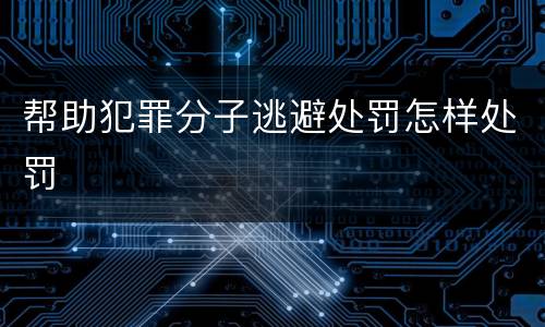 帮助犯罪分子逃避处罚怎样处罚