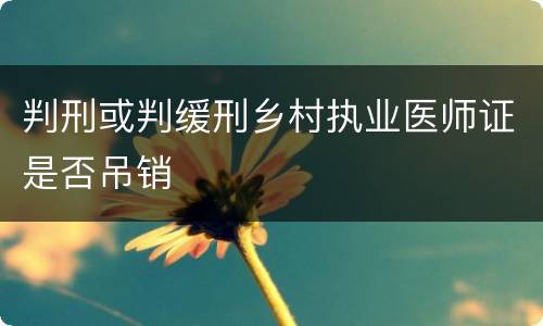 判刑或判缓刑乡村执业医师证是否吊销