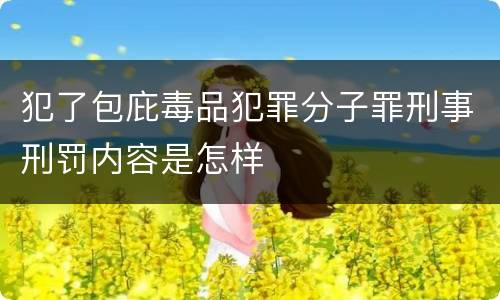 犯了包庇毒品犯罪分子罪刑事刑罚内容是怎样