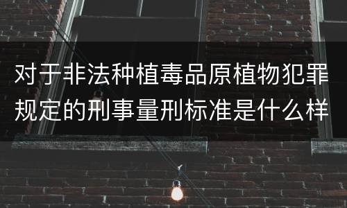 对于非法种植毒品原植物犯罪规定的刑事量刑标准是什么样的