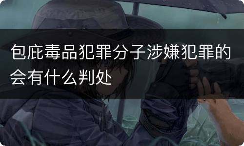 包庇毒品犯罪分子涉嫌犯罪的会有什么判处