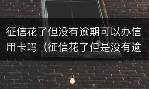 征信花了但没有逾期可以办信用卡吗（征信花了但是没有逾期可以贷什么款）