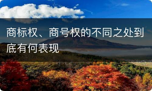 商标权、商号权的不同之处到底有何表现