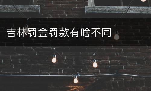 吉林罚金罚款有啥不同