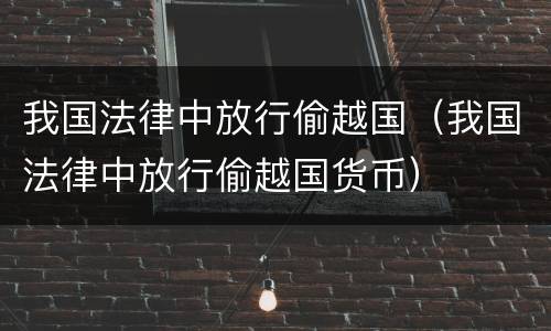 我国法律中放行偷越国（我国法律中放行偷越国货币）