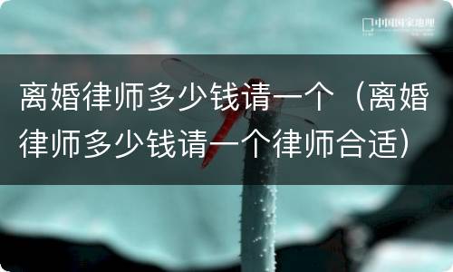 离婚律师多少钱请一个（离婚律师多少钱请一个律师合适）