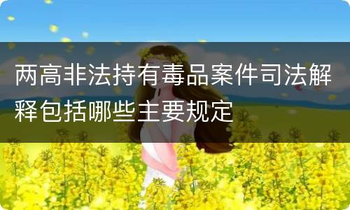 两高非法持有毒品案件司法解释包括哪些主要规定