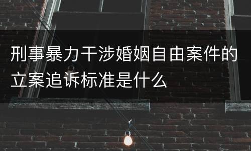 刑事暴力干涉婚姻自由案件的立案追诉标准是什么