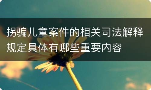 拐骗儿童案件的相关司法解释规定具体有哪些重要内容