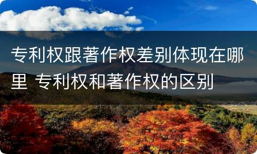 专利权跟著作权差别体现在哪里 专利权和著作权的区别