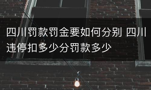 四川罚款罚金要如何分别 四川违停扣多少分罚款多少