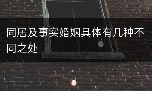 同居及事实婚姻具体有几种不同之处