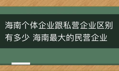 海南个体企业跟私营企业区别有多少 海南最大的民营企业