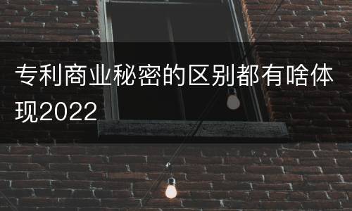 专利商业秘密的区别都有啥体现2022
