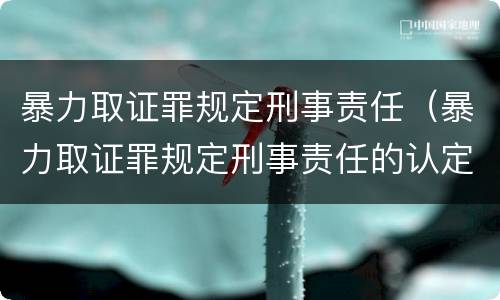 暴力取证罪规定刑事责任（暴力取证罪规定刑事责任的认定）