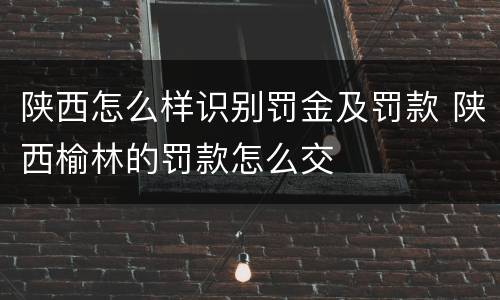 陕西怎么样识别罚金及罚款 陕西榆林的罚款怎么交