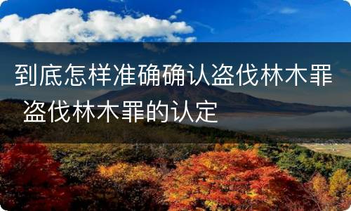 到底怎样准确确认盗伐林木罪 盗伐林木罪的认定