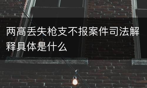 两高丢失枪支不报案件司法解释具体是什么