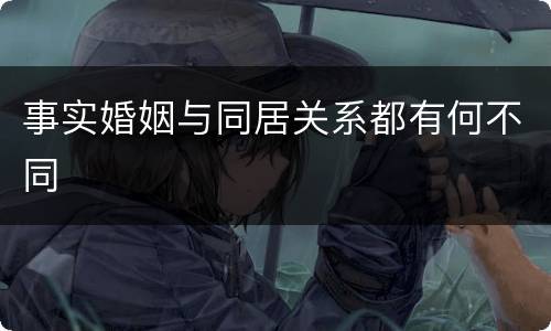 事实婚姻与同居关系都有何不同