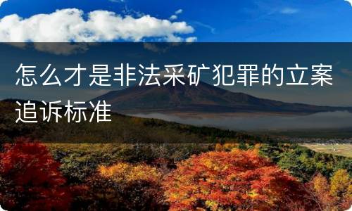 怎么才是非法采矿犯罪的立案追诉标准