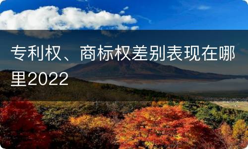 专利权、商标权差别表现在哪里2022